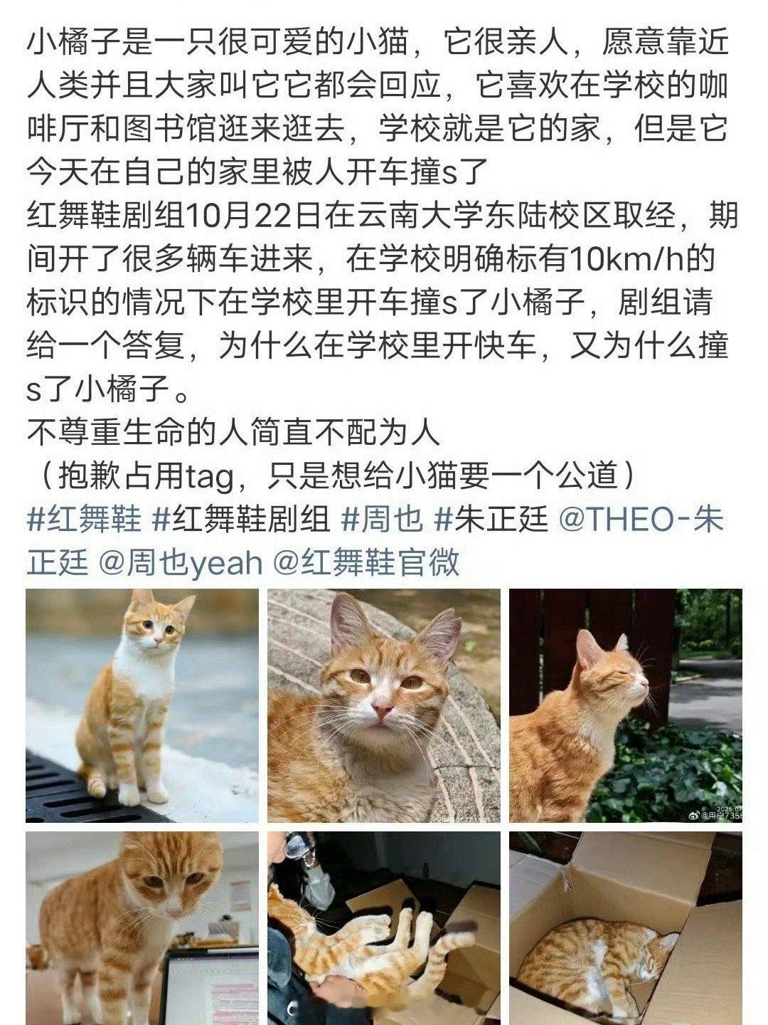 网友喊话周也道歉果真是人红是非多啊，从周也进组《红舞鞋》之后，周也的争议就没消停