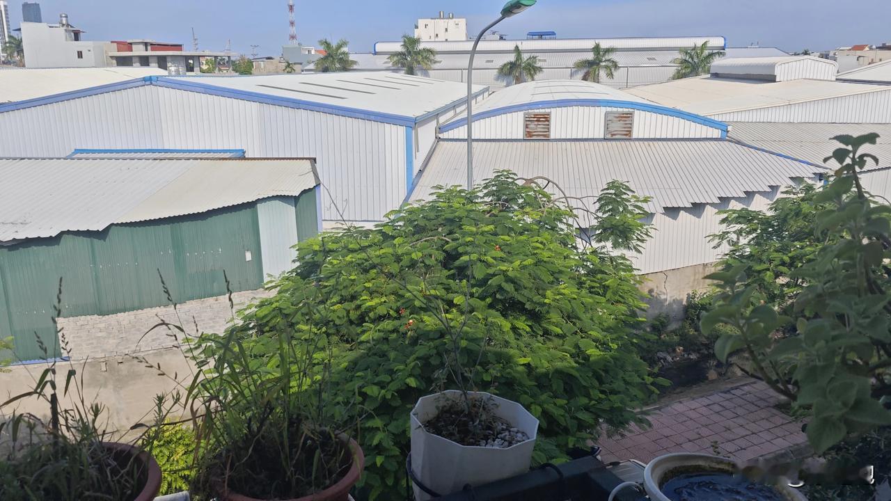 我是一个不太喜欢热闹的人，可能是因为性格的原因吧，不过现在的那种不喜欢和以前的不