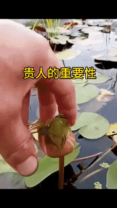 论遇到贵人的重要性……[祈祷]