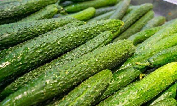 发现马上扔!餐桌常见，男子吃后被放倒…紧急提醒：比砒霜还毒，煮熟也没用夏日