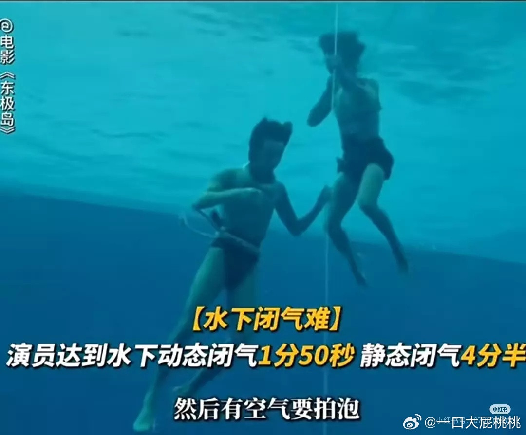 东极岛这造型真的好好笑[笑着哭]​​​