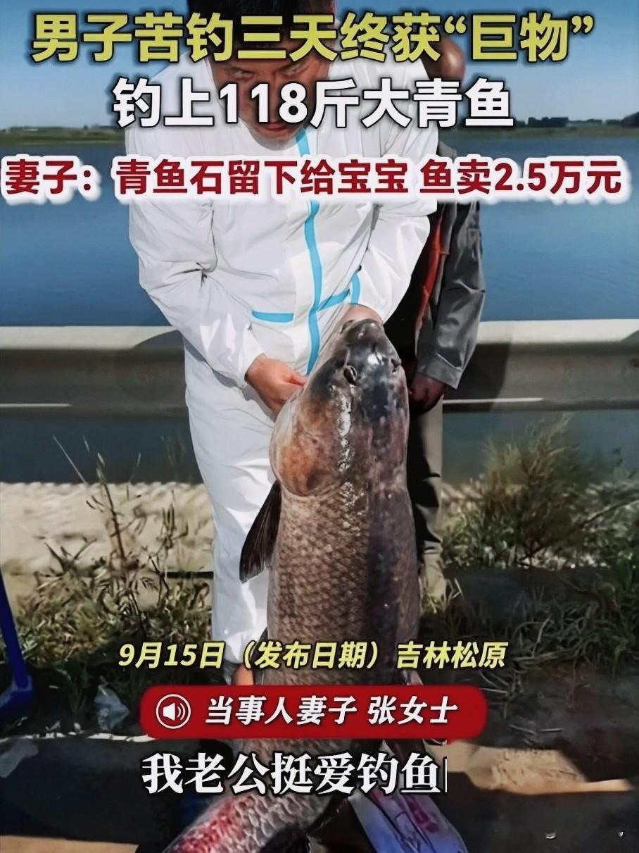 太牛了！吉林男子苦钓3天，钓上118斤超大青鱼！卖2.5万却舍不得一块小石头你敢信？钓鱼居然能钓出父