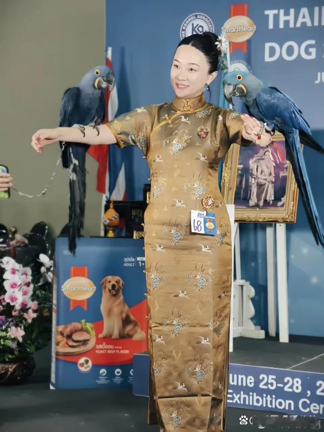 霍思燕家的鸟也好争气​​​