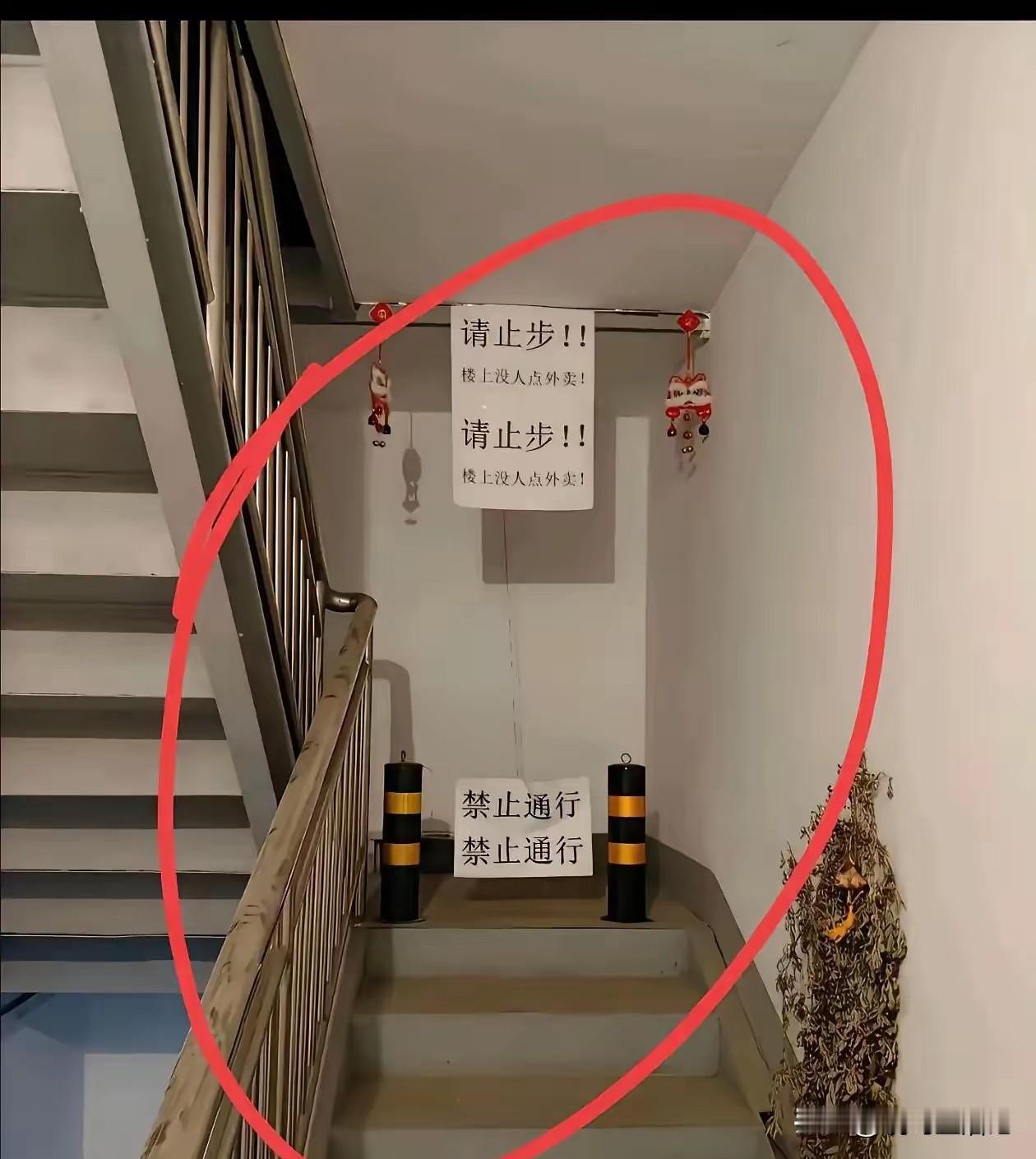 我的猜测是，房主比较爱干净。