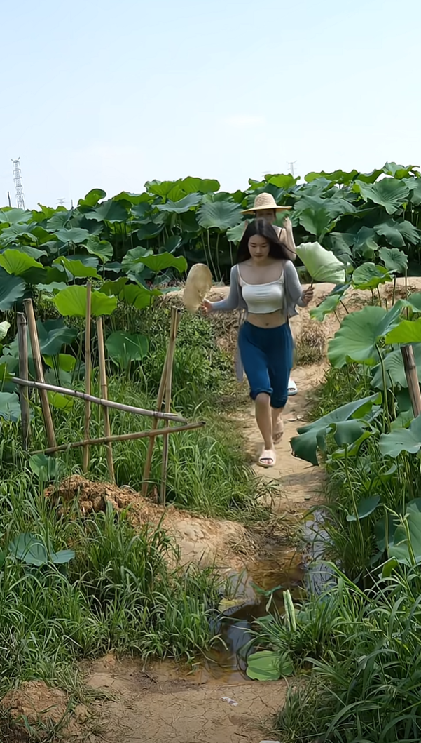 记录一下，我的乡村生活！