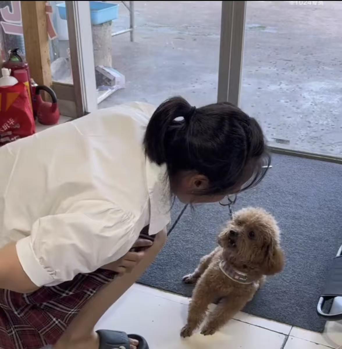 “我对你不好吗?”泰迪一直叫，女生俯下身，把脸凑过去和泰迪沟通，还朝它学狗叫逗它