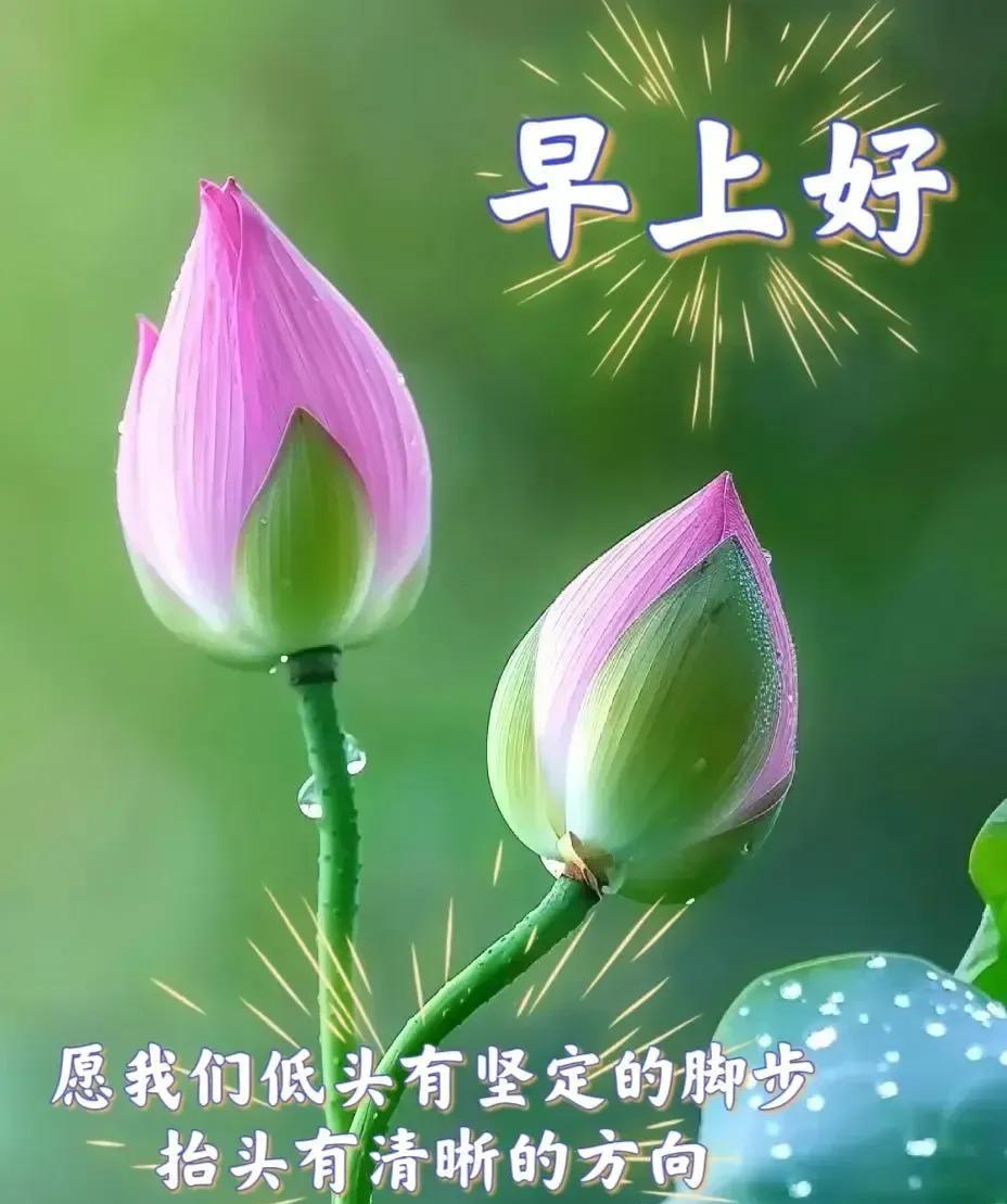 晨曦心语星愿：清晨阳光耀大地，开开心心好运气；真诚问候暖心房，快快乐乐保健康！