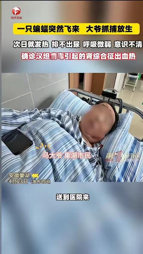 悲剧还是发生了！近日，安徽巢湖，一位大爷发现家中进了只蝙蝠，他伸手就去抓，可蝙蝠