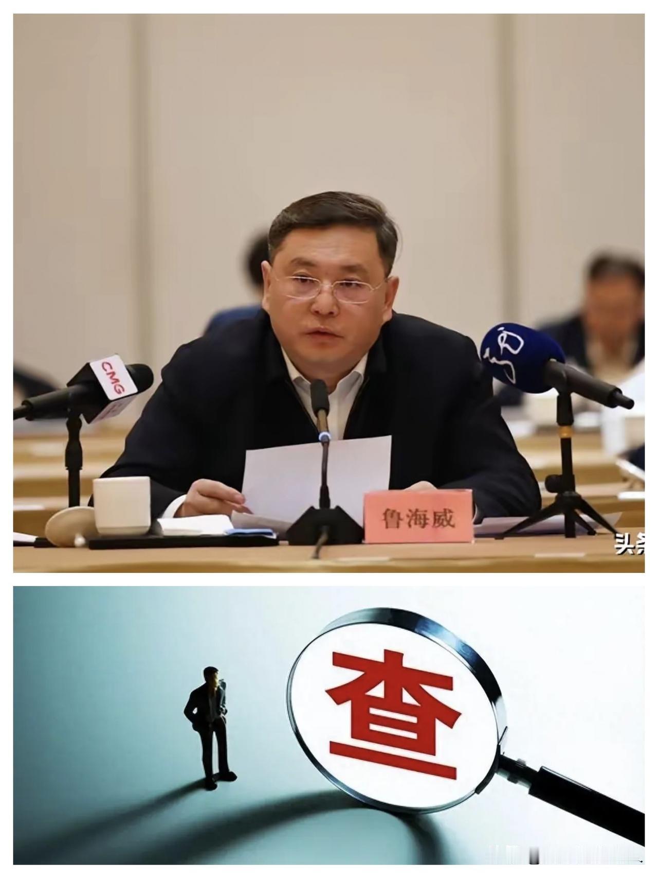 就在刚刚，6月5日，高级工程师【鲁海威】被查，于是看了一下他的履历，主要有这么