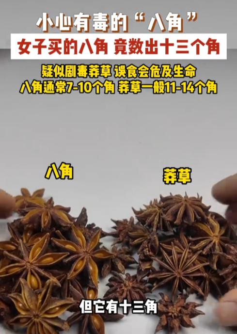 “太吓人了！”浙江女子去超市买了八角，放了两颗下锅烧肉，一旁儿子好奇的问：怎么有