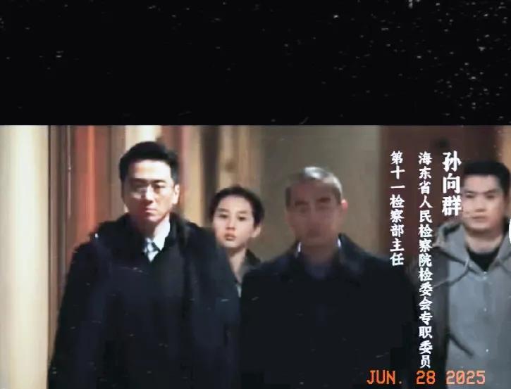 11.《以法之名》。孙专委来了。还带来两位精兵强将。决定：对谢鸿飞和李人骏实施监