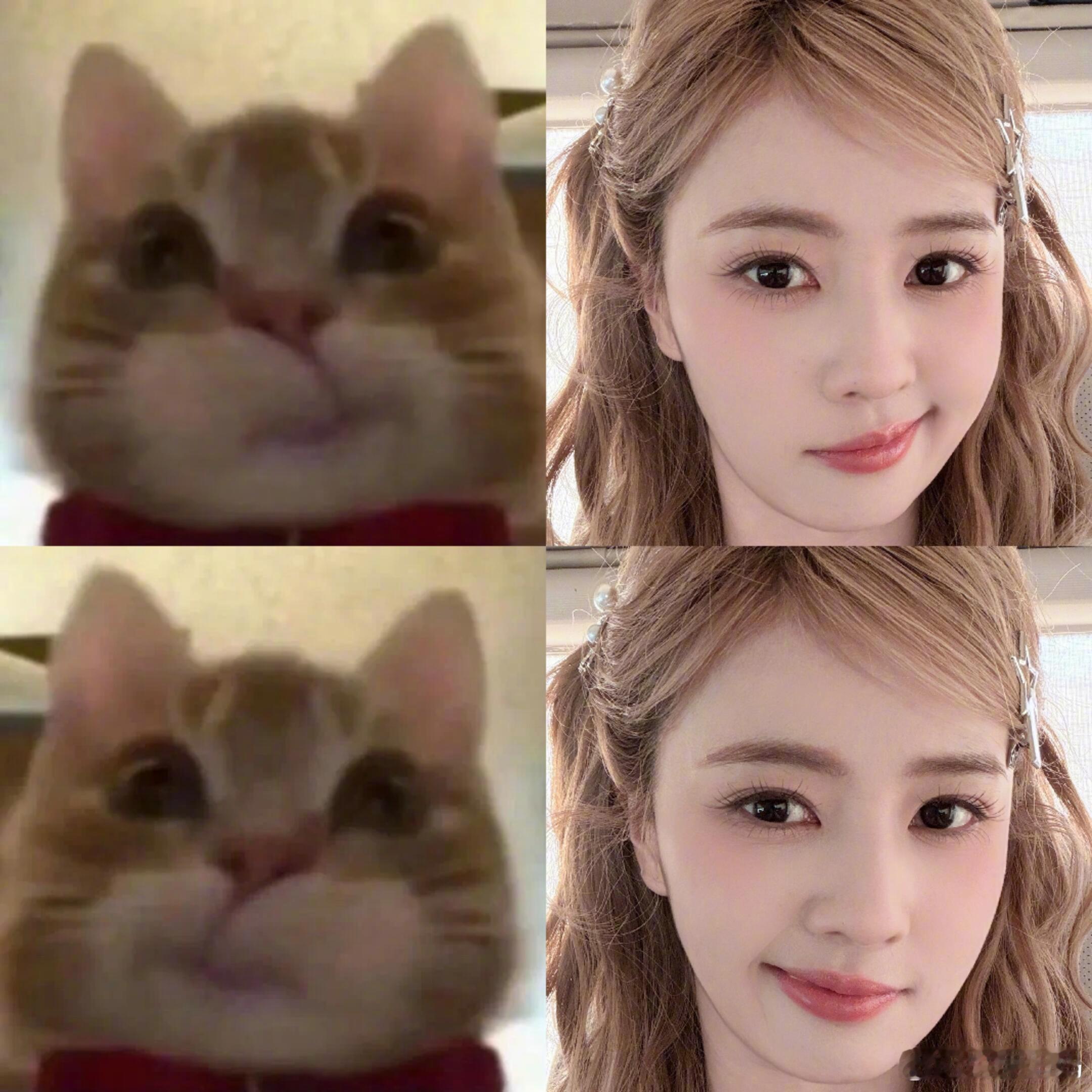 甜美统治全世界，白鹿这个猫猫妍萌物