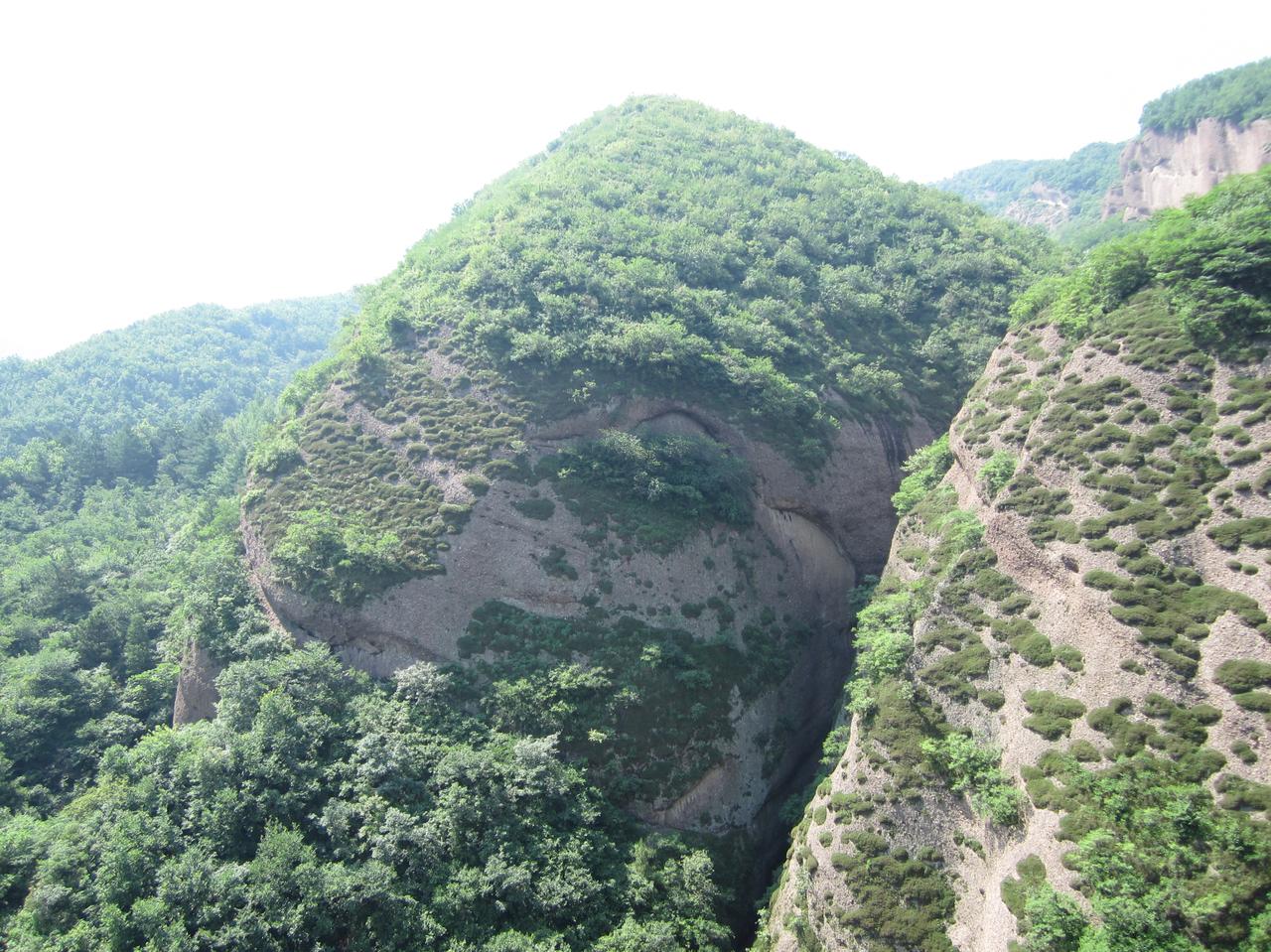 小以动用多支军事力量入侵小黎，结果被真主党反攻了，打破了小以北部一条防线，开始进