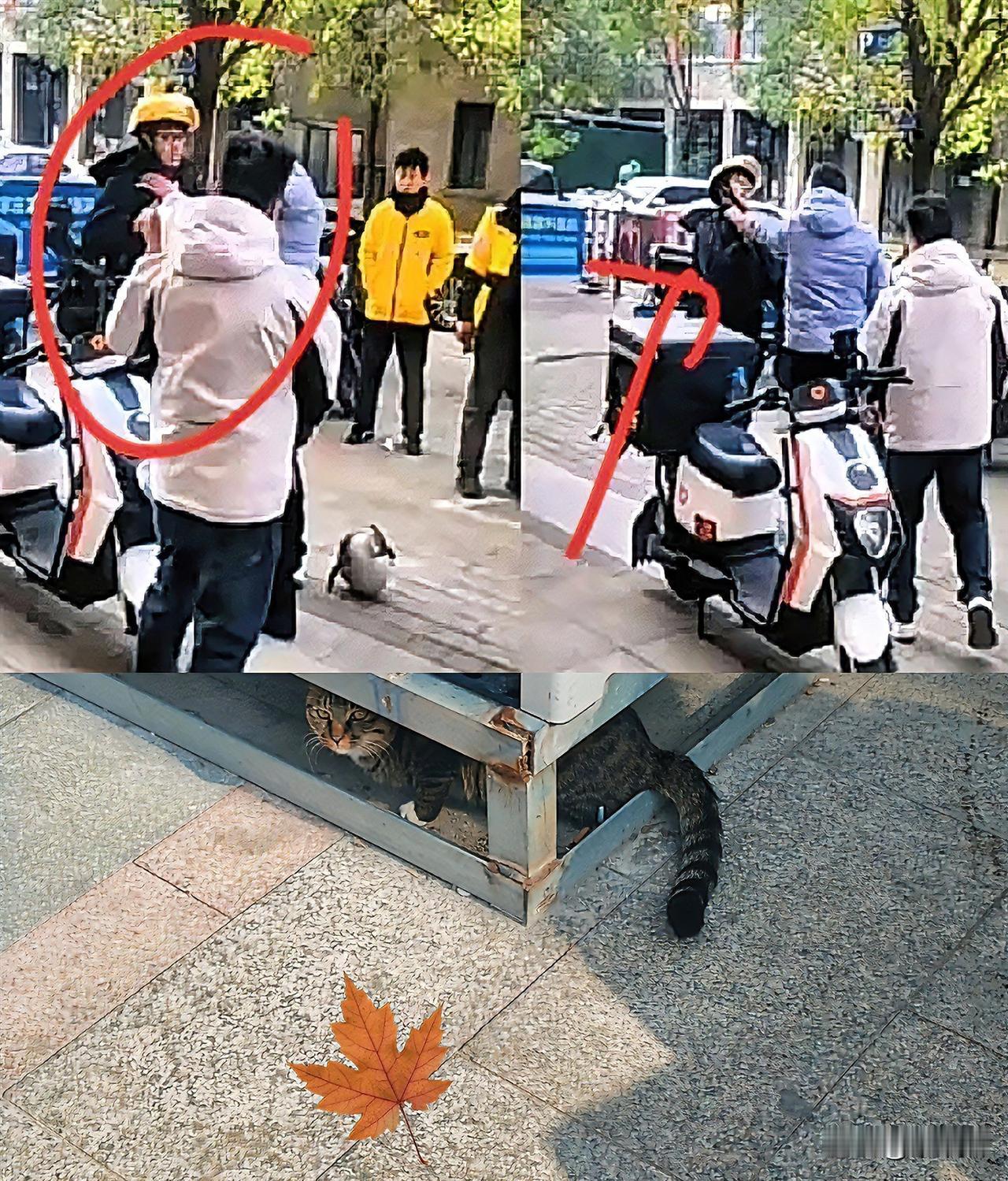 看了石家庄外卖小哥这事，我立马给我老公打电话，提了四点建议。第一，遇事千