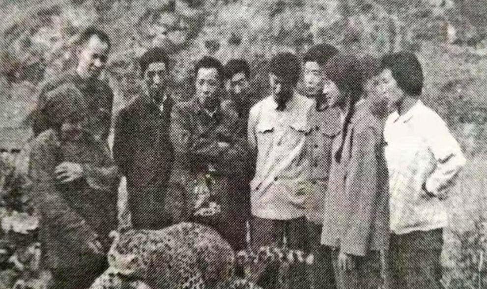 1982年6月5日，67岁老太太齐德英和侄媳几个上山挖草药。突然，一道黑影扑向