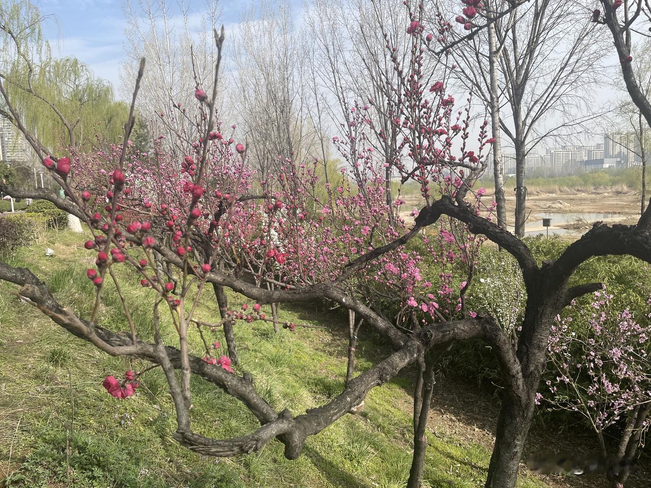更扎心的是——这套房，她大概率买在4万+/㎡的高点，300万首付+200万贷款，