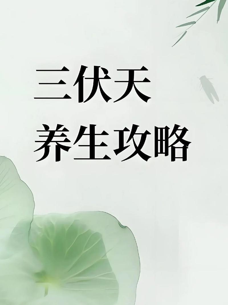 我发现：三伏天湿热难熬，中老年人记住这几条养生要点，安稳度夏
