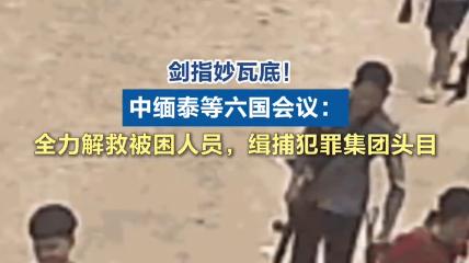 六国会议剑指电诈: 缉捕犯罪集团头目