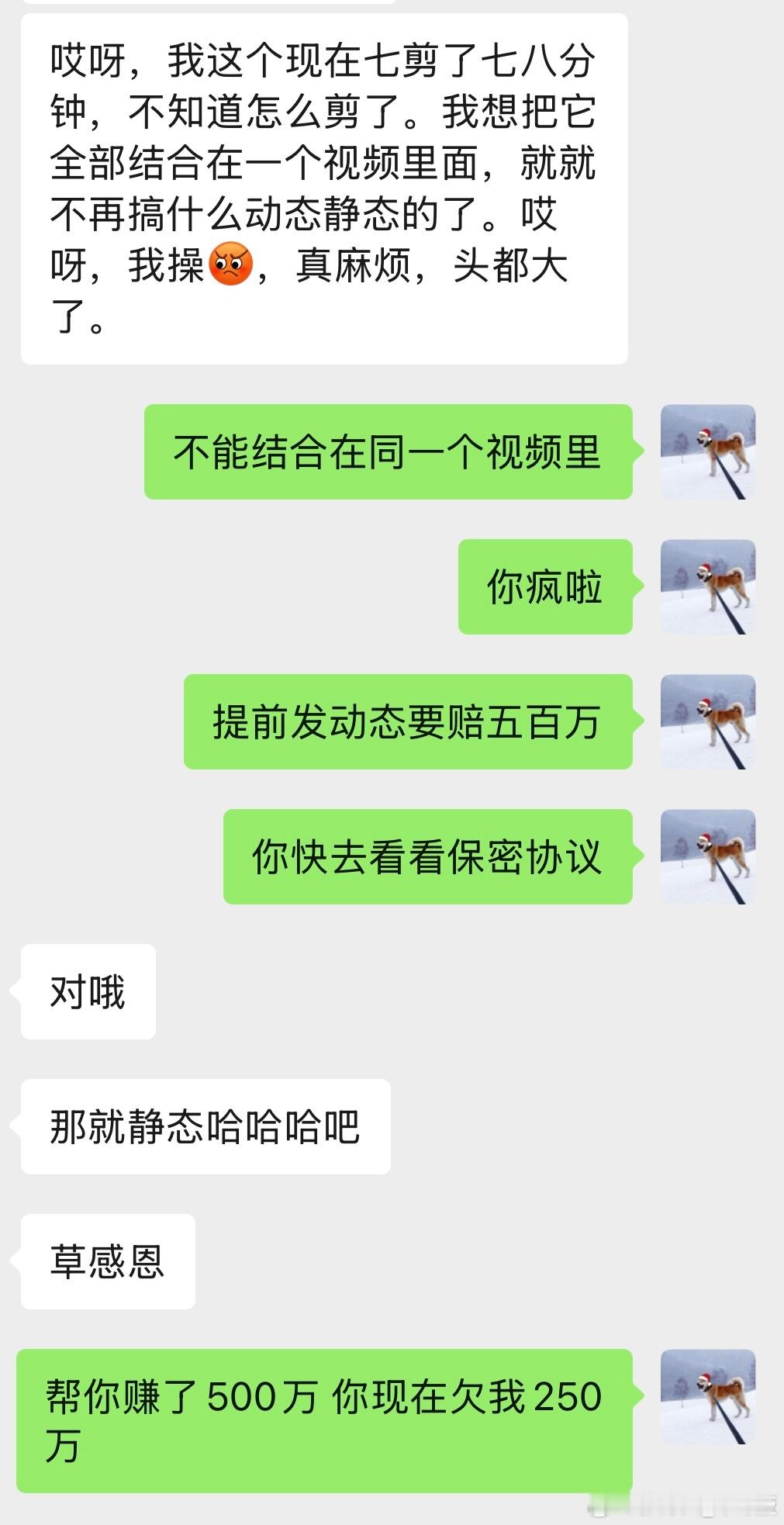 今日功德+1[doge]别看咱平时迷糊，大事儿上可不能迷糊[祈祷]​​​