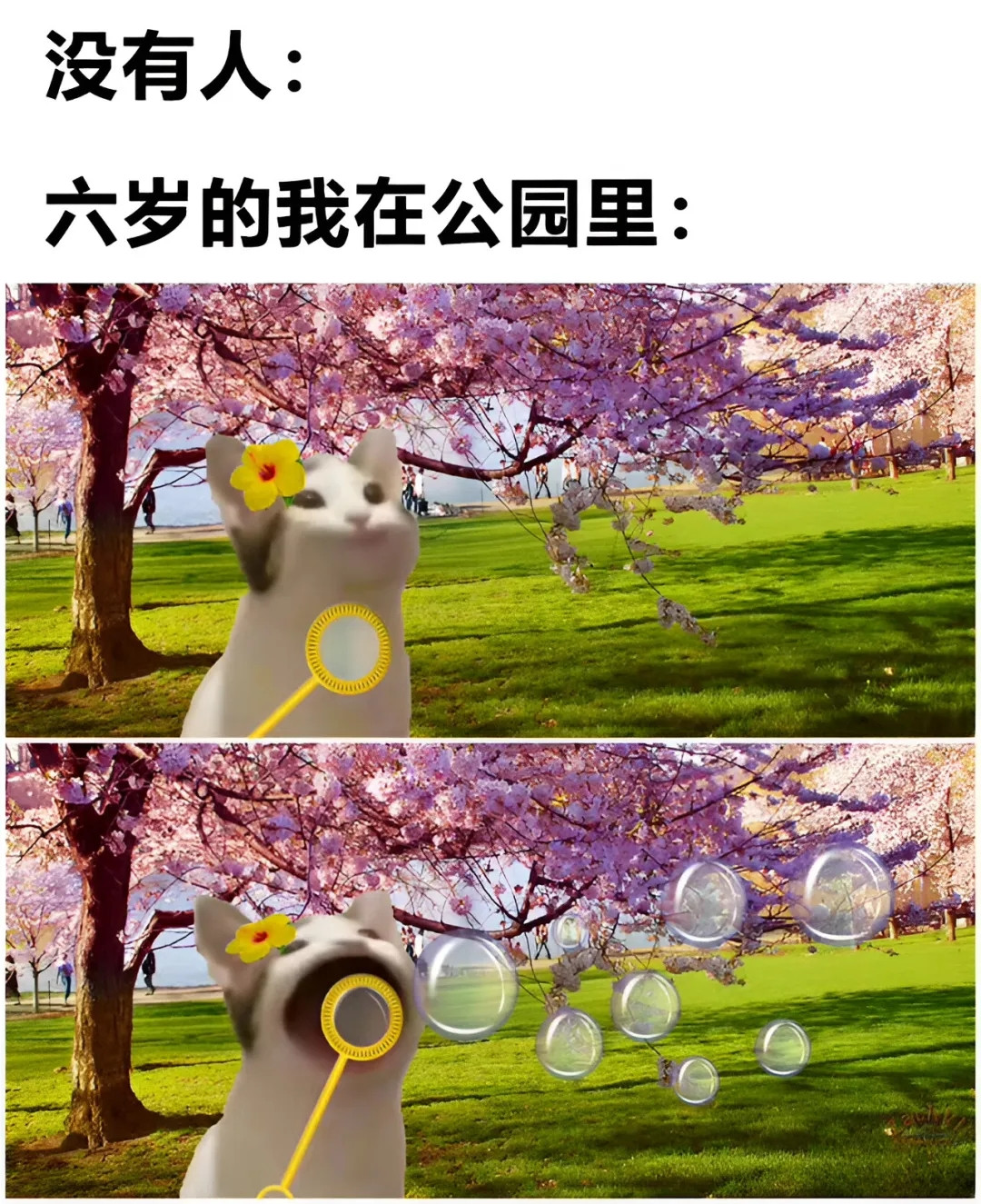 上课无聊时的我