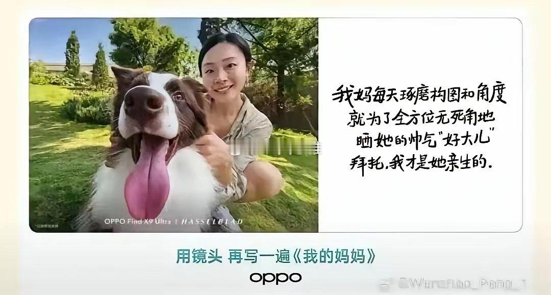 武大净出人才，oppo牛逼