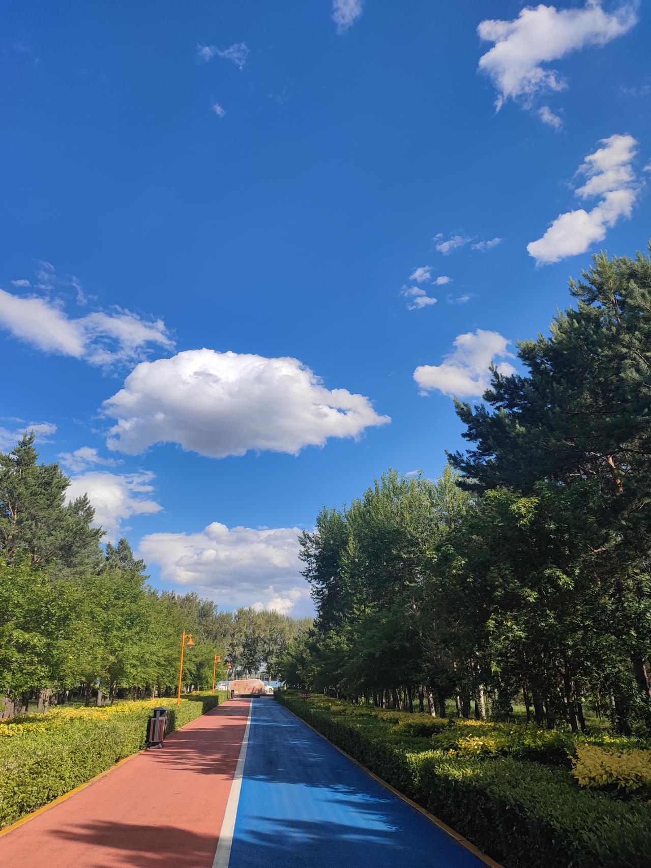 家里的大犟种这不要过节了吗，俺那口子非的要去今天去看他老叔，他老叔那离我们