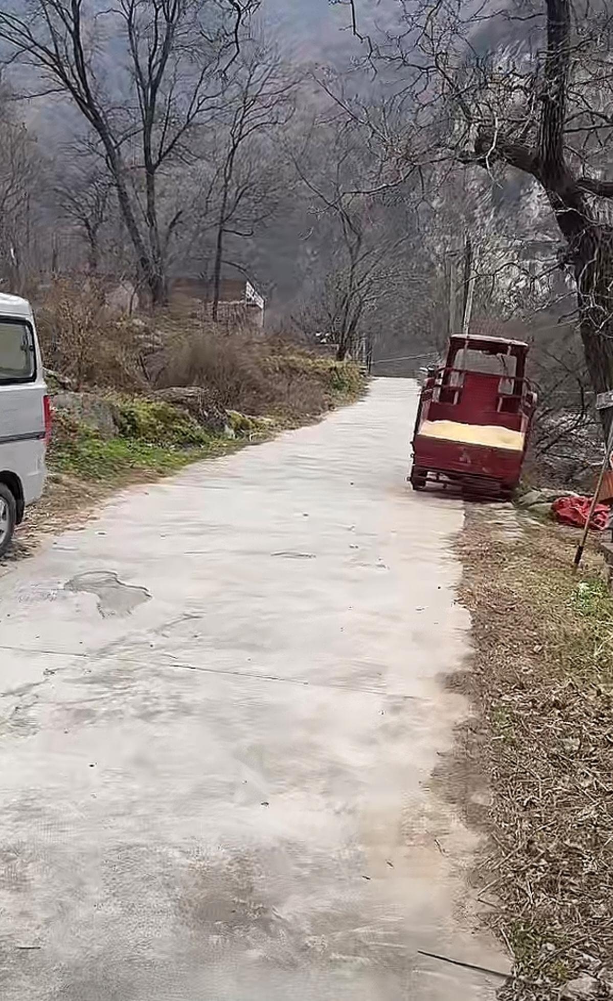 今年农村出现小偷了刚才跟乡下的表姑聊天，她说她养的20几只鸡被一锅端了，心疼的