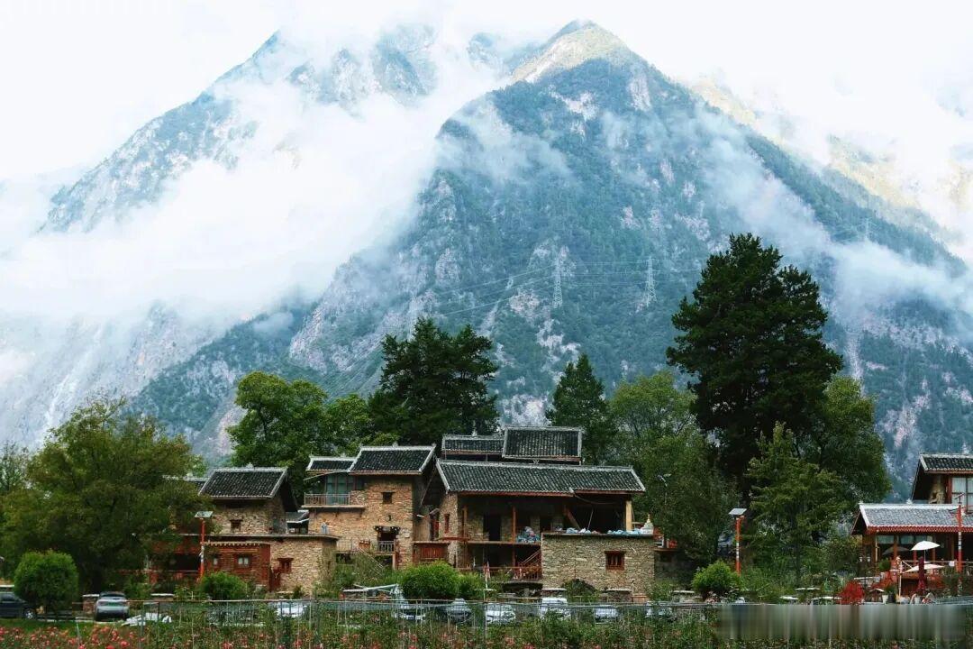 六月必去川西小众秘境✨康定色龙村被高山玫瑰包围，花海、雪山、藏寨同框，风景美到