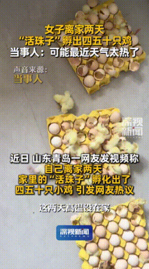 “简直就是捡钱！”山东青岛，一女子因天气太热而离家2天，结果回家后却发现，屋里竟