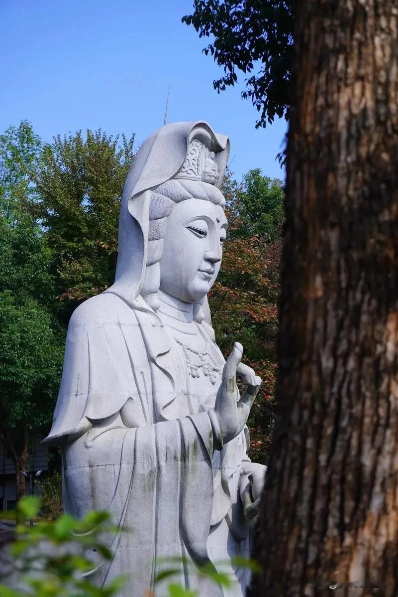 拍一张你的城市美景