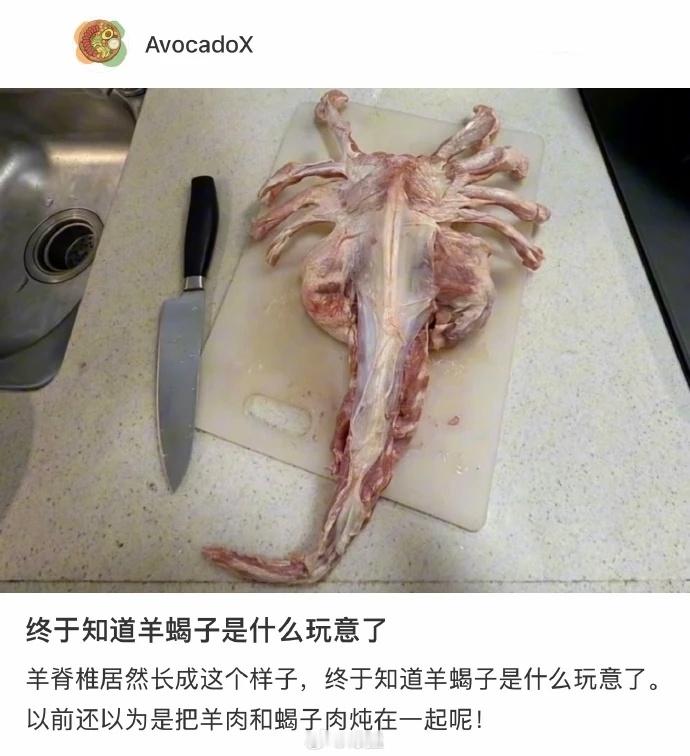 突然就理解什么叫羊蝎子了​​​