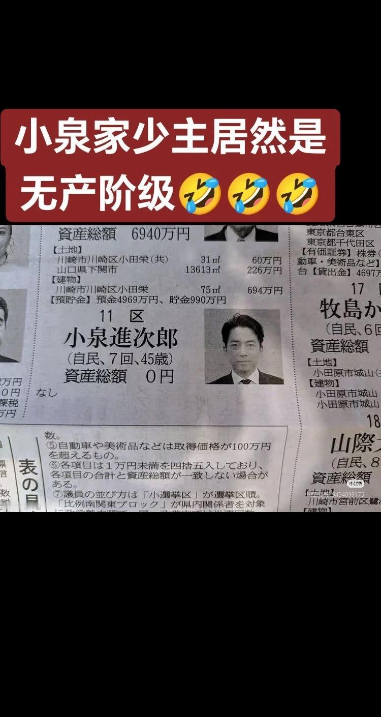 日本财产公布日本日本人日本政客日本政坛小泉家少主居然是无产阶级[做鬼脸