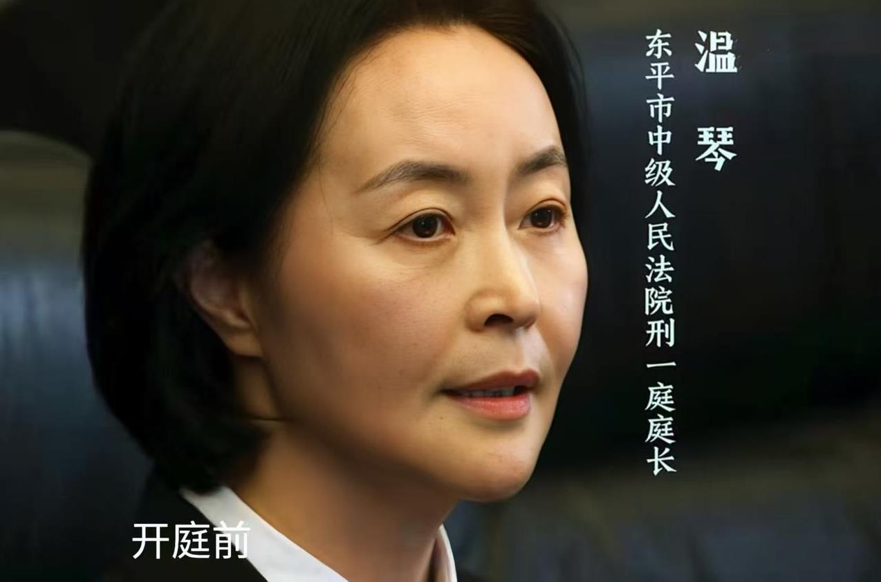 《以法之名》：编剧啥也不懂，温琴根本没资格代表法院参加东平市政法会议！先来看两