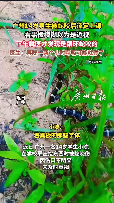 “心真大啊！”5月15日报道，广东广州，一位14岁男生在学校草丛里捡东西的时候，