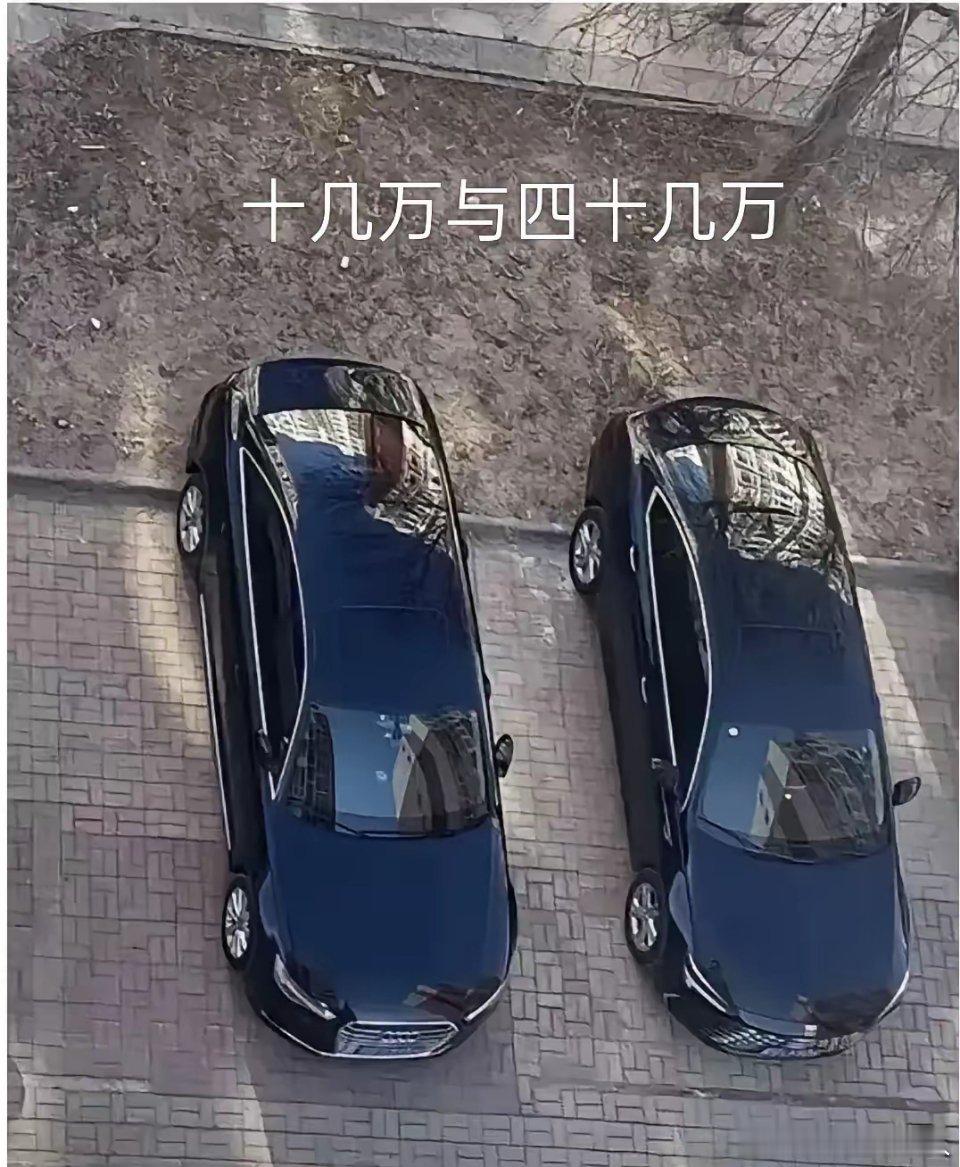 这两辆车究竟有何不同？谁懂！​​​