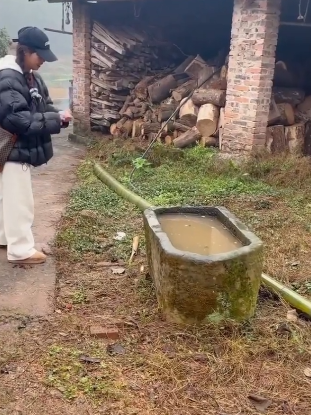 这可是明朝的！姑娘你看着办吧