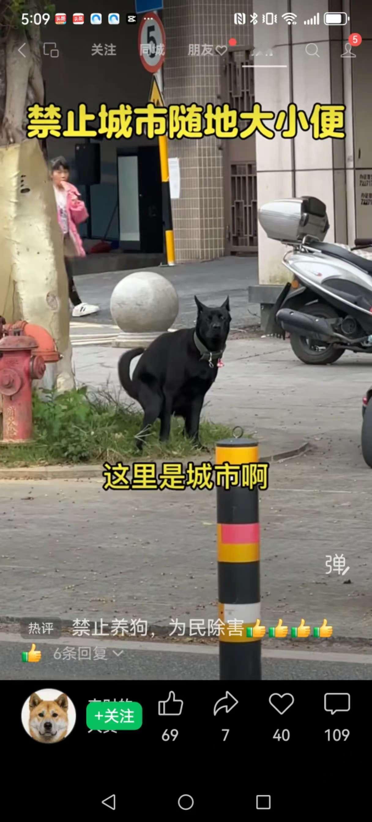 狗中毒身亡，主人哭诉“有人投毒”？邻居一句话让全网沉默……最近刷到一个视频，一