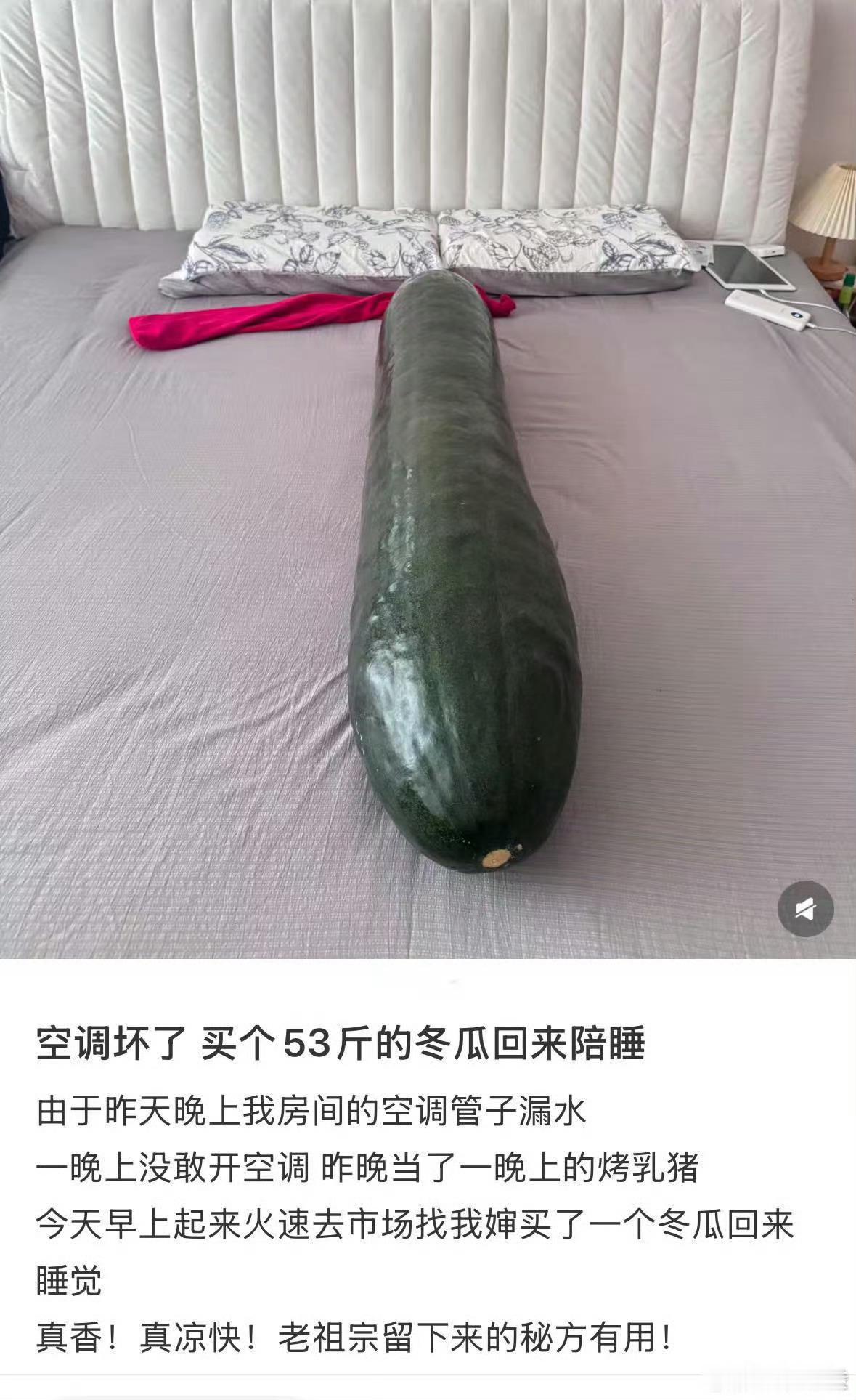 夏天没空调没对象的人天亮了