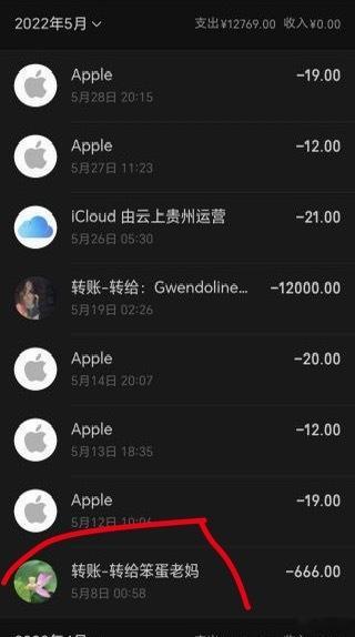 我看链子长文，前面给女人转都是一两万，每月18000给17000，然后给老妈转6