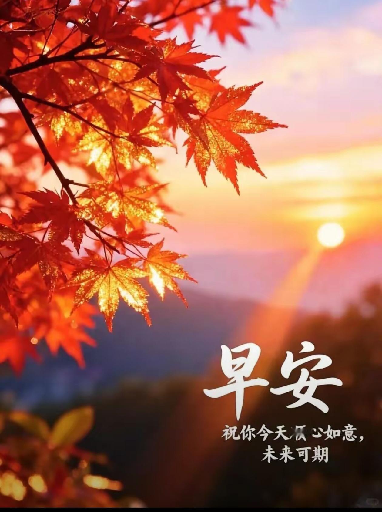 2026./8月30日，周日早安，秋光福至，顺意长安🍁🌅浅秋