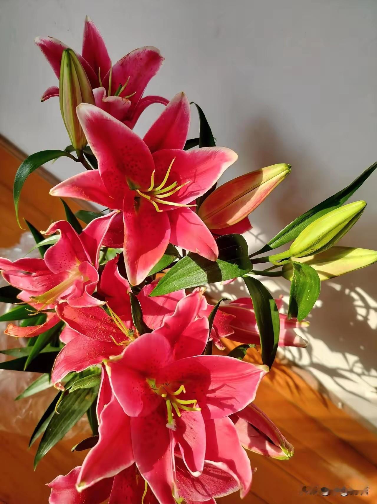 人生的顶级配置1. 健康的身体不只是无病，而是精力充沛、情绪稳定、能扛事