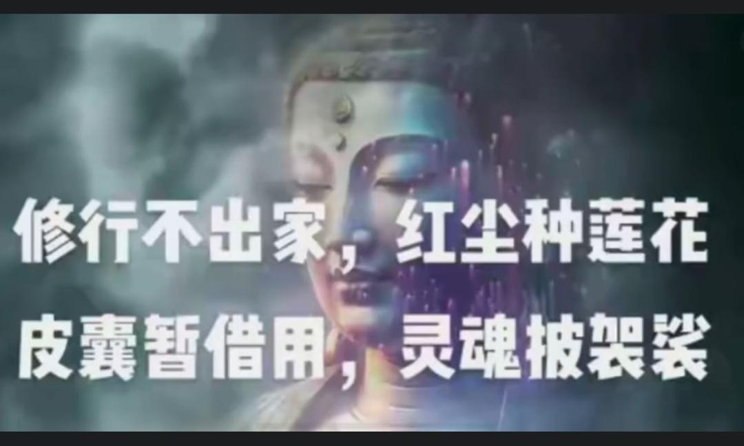 红尘种莲，一心归佛修行不出家，红尘种莲花。皮囊暂借用，灵魂披袈裟。