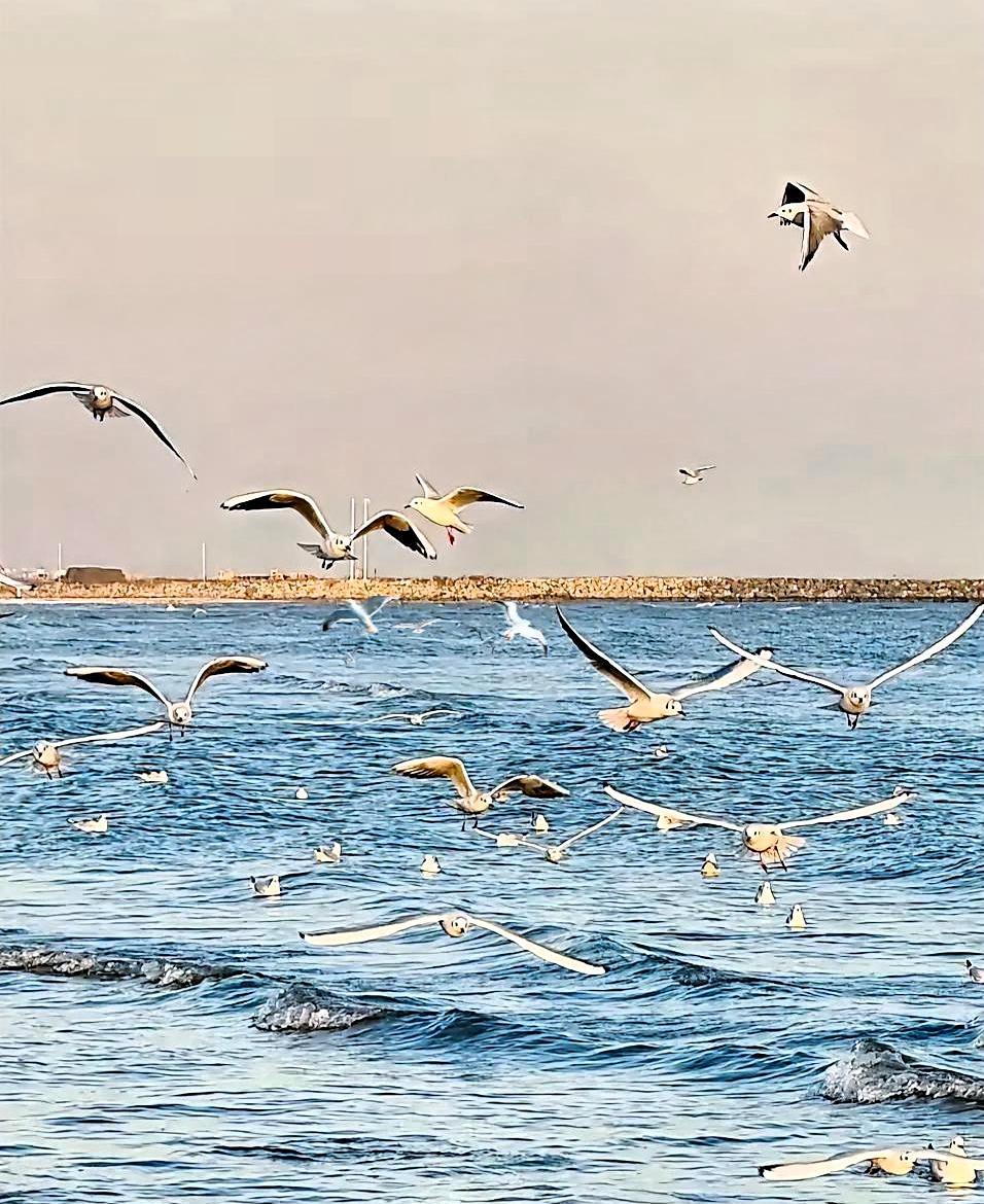 我真是不明白了，我发小58了，公务员，退休金有6000多，可退休以后，竟