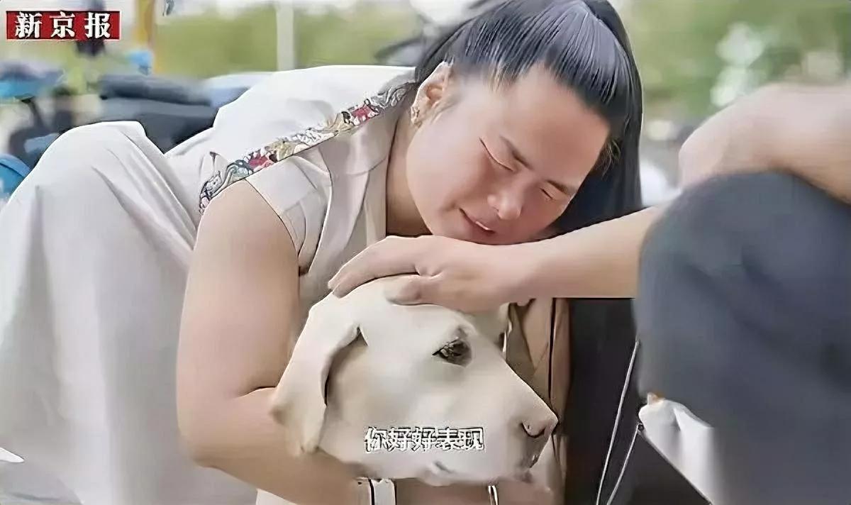 芬迪走了，头都没回。可它跟王女士过了两年啊？摇着尾巴蹦上车的样子，倒像终