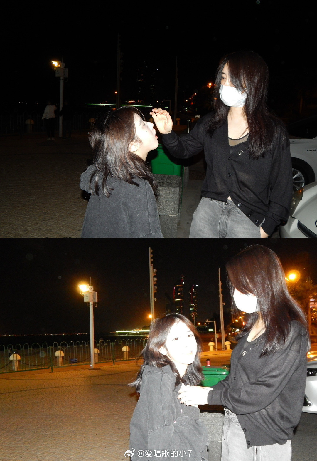 寒假去网友的城市玩四天，前几天相处都很愉快。今天去宠物咖啡厅，因为我怕宠物有心理