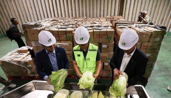中国要被韩国拖垮了？2024年韩国人拒绝吃从中国进口的中国白菜，本来是想给我们个