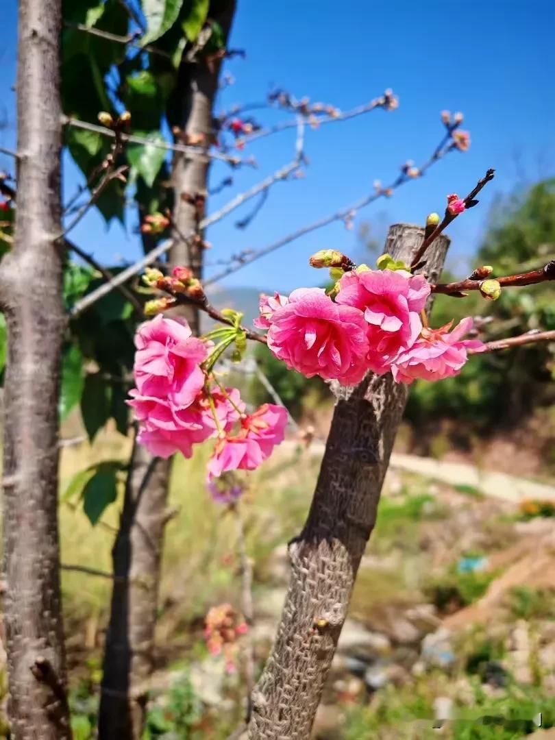 好山好水，出好酒，