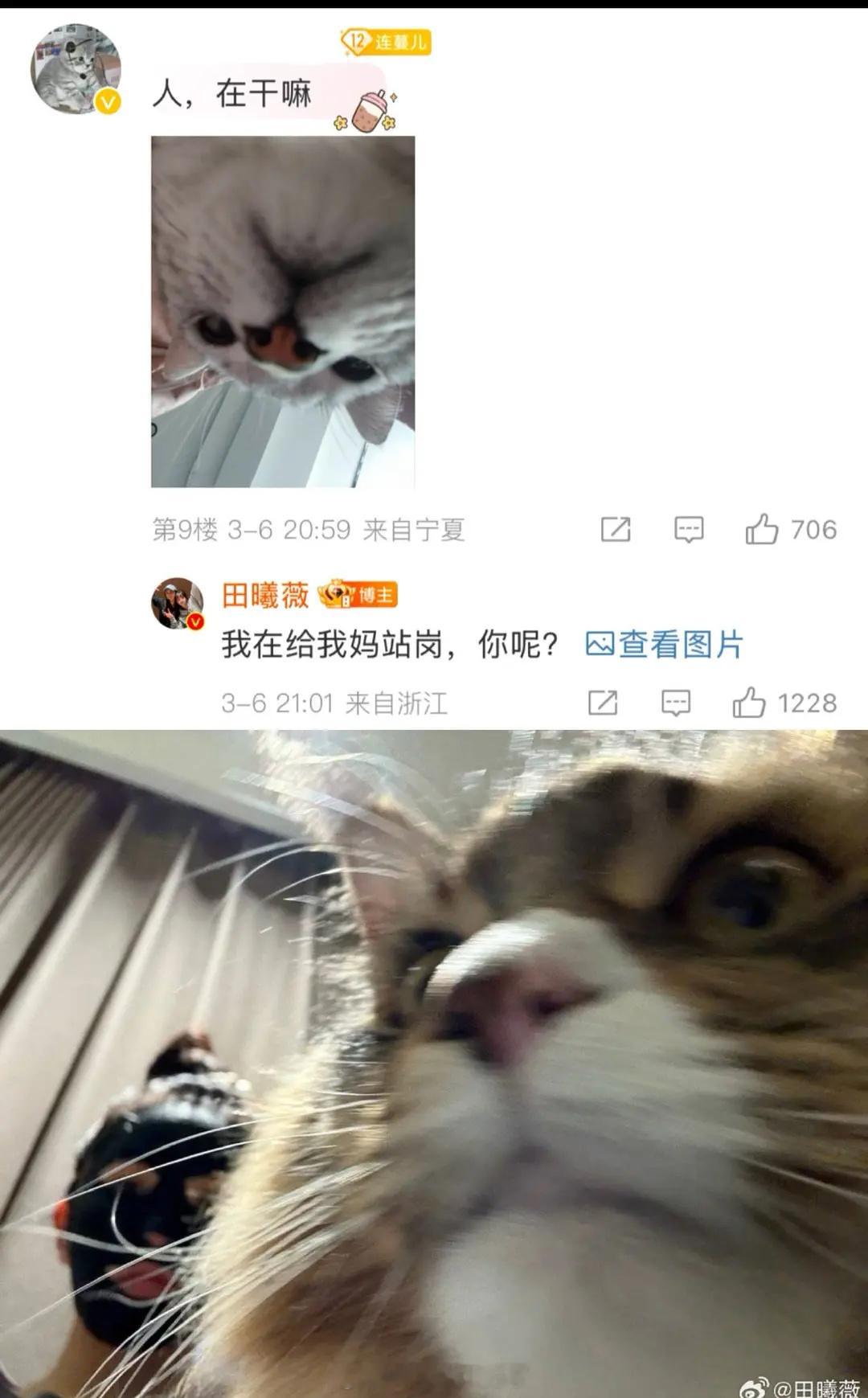 田曦薇用猫猫的语气和粉丝聊天，好新鲜的互动方式。小田粉丝心软软了吧！​​​