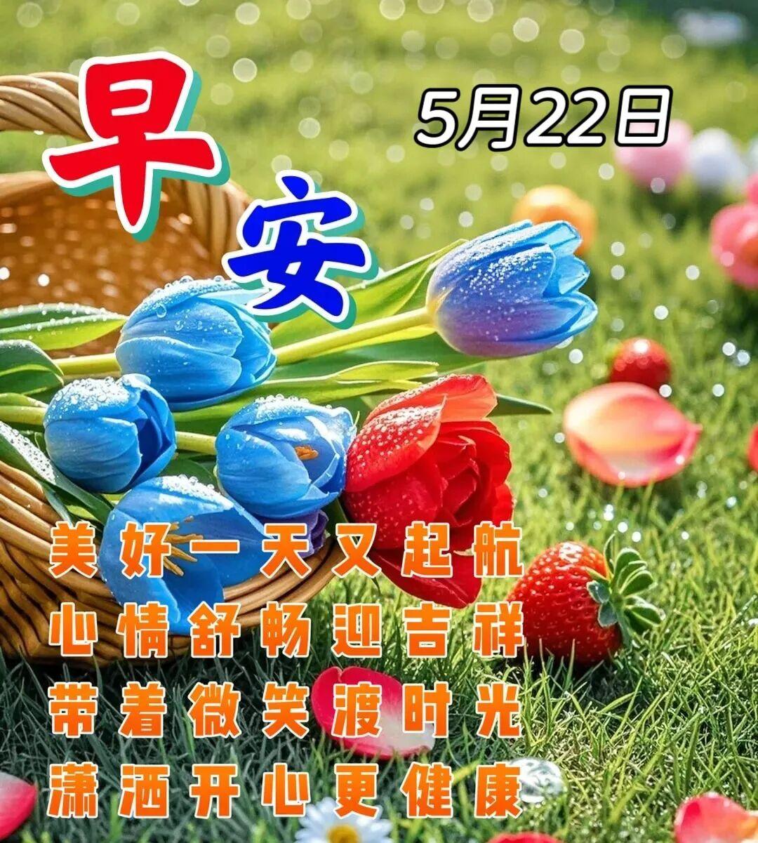 早上好！祝愿你迎接新的一天，充满喜悦和希望。愿你用心感受每个瞬间的美好，享受生命