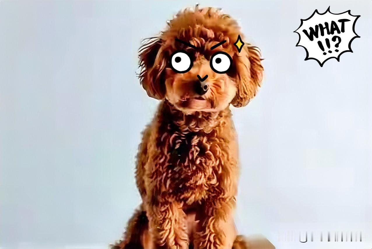 南京这事儿，离了个大谱。狗被毒死了，主人自掏腰包花了四万多块钱抢救，最后没救回